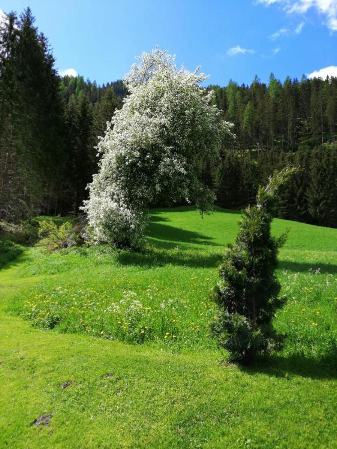 Pension Stoffler Sankt Veit in Defereggen Exteriér fotografie