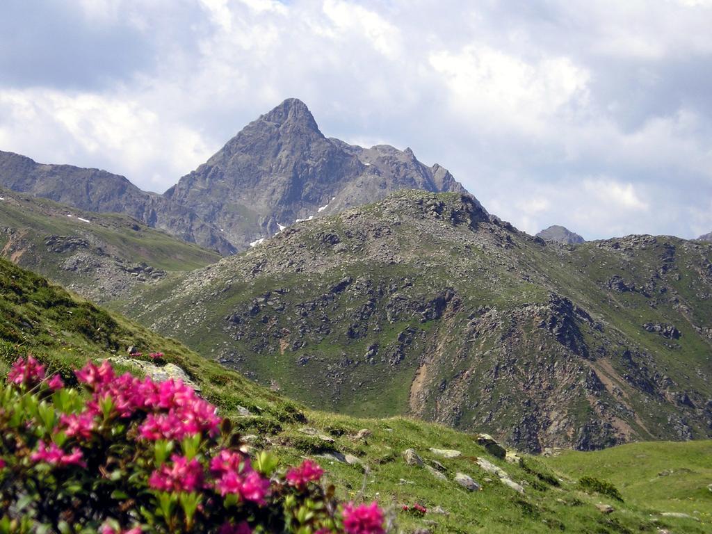 Pension Stoffler Sankt Veit in Defereggen Exteriér fotografie